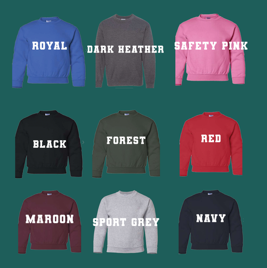 Youth Sweatshirt