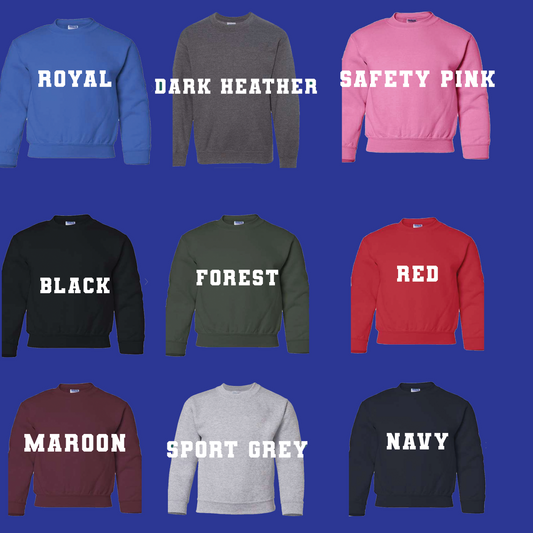 Youth fleece Sweatshirt-WSA