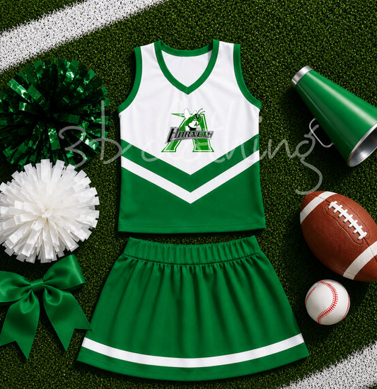 Azle little hornets cheer set